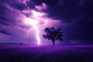 Gordijnen Electric purple: Lightning strikes dramatically over rural landscape field with solitary tree silhouette during intense storm © Meenaxi