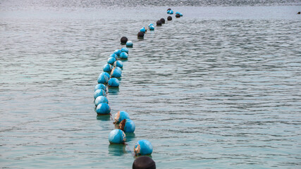 A series of blue and white buoys in the calm waters of a lake. Used as boundary markers to...