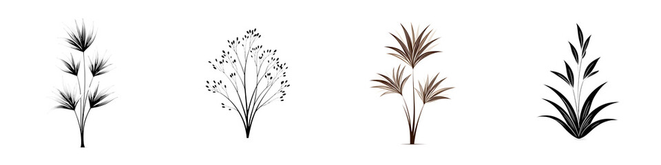 Fototapeta premium Ornamental Grass Collection: Black and Brown Grass Silhouettes on White