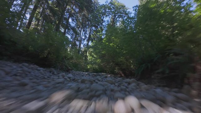 High-speed drone flight through dried rocky riverbed, under trees and logs, dynamic ground-level motion