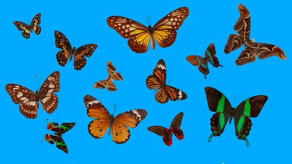Seamless pattern background with butterflies, fabric, paper, and wallpaper.