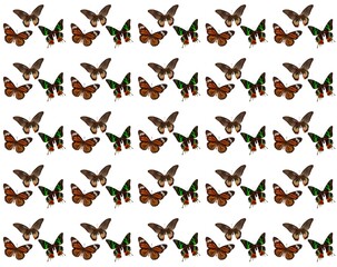 
Seamless pattern background with butterflies, fabric, paper, and wallpaper.
