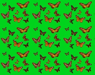 Seamless pattern background with butterflies, fabric, paper, and wallpaper.
