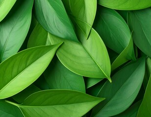 Obraz premium Close-up vibrant green leaves