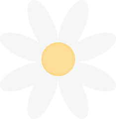 Simple cute white daisy collage