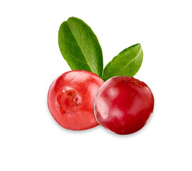 cranberries isolated on white background