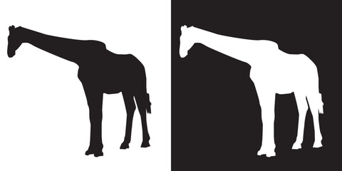 Black giraffe animal silhouette on white background and white on black background, simplified giraffe figure for stencil or print art, flat illustration vector image of animal in black and white.