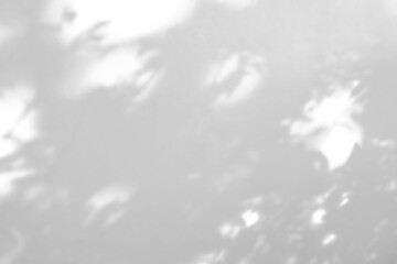 Abstract natural tree leaves shadow on white wall background