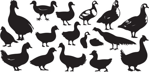 Black Silhouette Images of Various Ducks and Geese on White Background