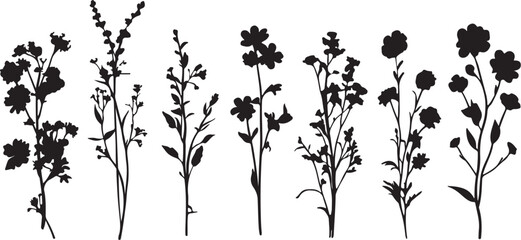 Black Silhouette Floral Sprigs Vector Illustration for Design