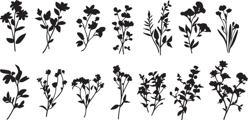 Black Floral Silhouette Clipart: Botanical Vector Elements for Design