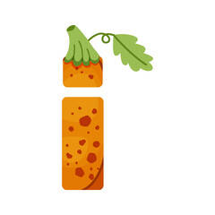 Pumpkin Alphabet