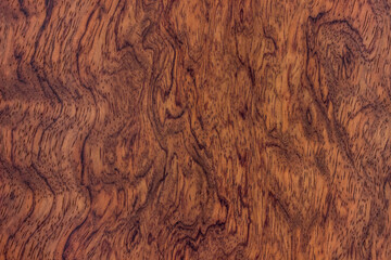 natural wood, with a beautiful pattern. natural wood background. wooden board with natural seamless texture. bubinga, essingang, ebana, kevazingo, akume, waka, view from above, horizontal