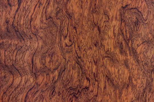 natural wood, with a beautiful pattern. natural wood background. wooden board with natural seamless texture. bubinga, essingang, ebana, kevazingo, akume, waka, view from above, horizontal