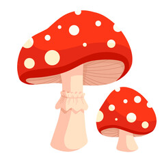 fly agaric mushroom