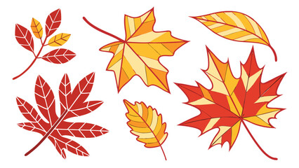 A collection of colorful autumn leaves in various shapes and sizes, isolated on white background