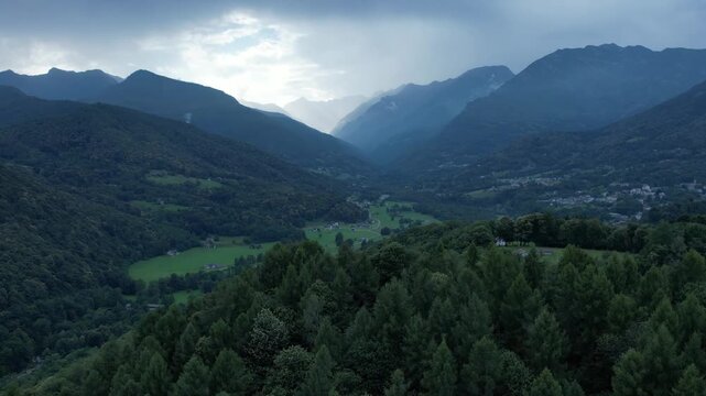 Drone footage slowly ascends above dense pine forests, revealing the expansive green valley and mountain ranges of Val di Chy, Piedmont, Italy, beneath a dramatic evening sky.