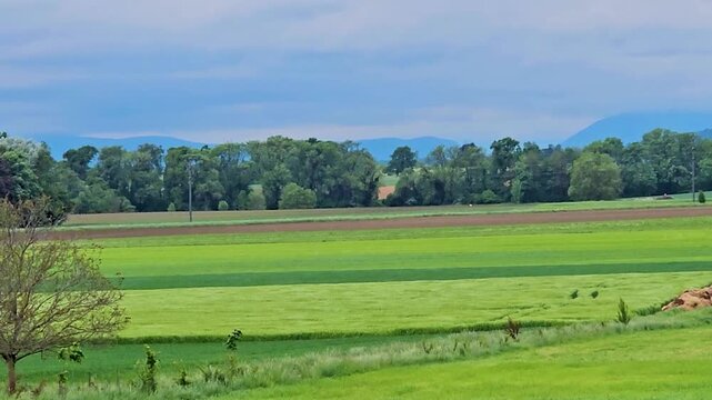 Switzerland green landscape, blue sky.