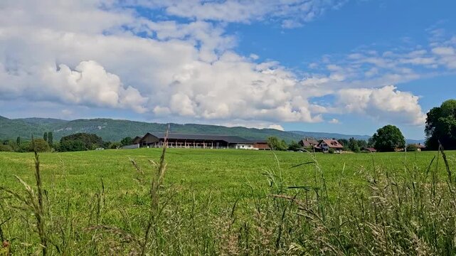 Shed, corral, in Switzerland, green fields.