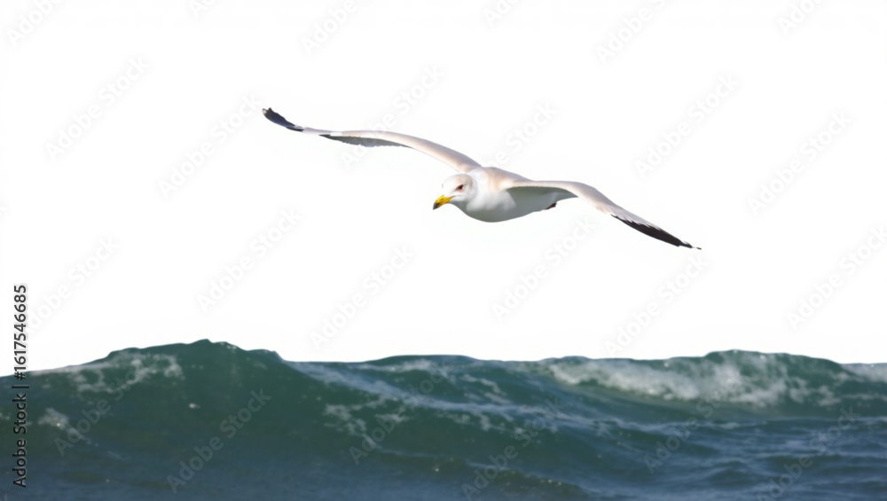 Poster a seagull soars gracefully above the turbulent ocean waves creating a serene yet dynamic scene creat