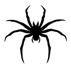 a menacing black spider silhouette with outstretched legs against a white background