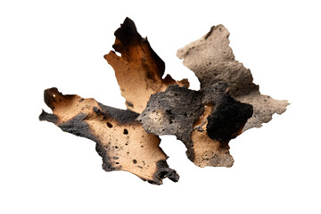 Obraz premium Burnt paper scraps texture dark background