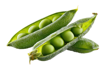 Two fresh green peas in pods, close-up