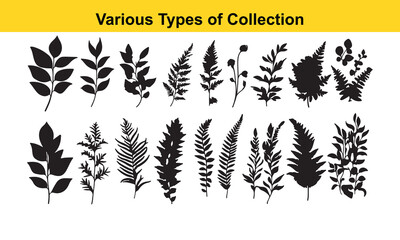 Black Silhouette Leaf Collection: Various Plant Types Illustration