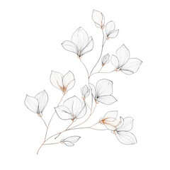 Delicate outline drawing of a flowering branch with subtle gold accents isolated on transparent background
