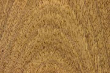 natural wood, with a beautiful pattern. natural wood background. wooden board with
 natural seamless texture. Cerejeira, Amburana, Ishpingo, Roble, view from above, horizontal
