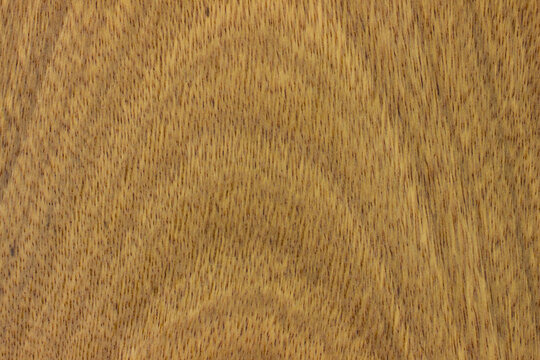 natural wood, with a beautiful pattern. natural wood background. wooden board with
 natural seamless texture. Cerejeira, Amburana, Ishpingo, Roble, view from above, horizontal