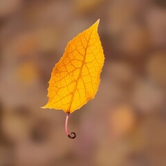 vibrant autumn leaf (1).JPG