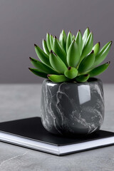 Succulent Plant in Marble Pot on Notebook