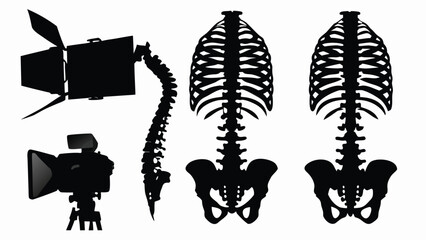  A Visually Engaging Illustration Featuring Human Skeletal Structures Juxtaposed with Modern Photography Equipment. Two Full Rib Cages and an Isolated Spine Stand Opposite Silhou