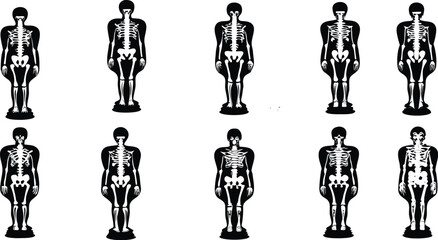 A Detailed Educational Resource Featuring Four Identical Full-Body Skeletons in Standing Position, Highlighting Key Anatomical Structures Such as Skull, Spine, Rib Cage, Pelvis, Arms, and Legs. Ideal 