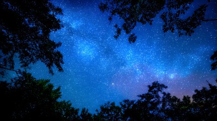 Naklejka premium Starry night sky through the silhouette of trees.