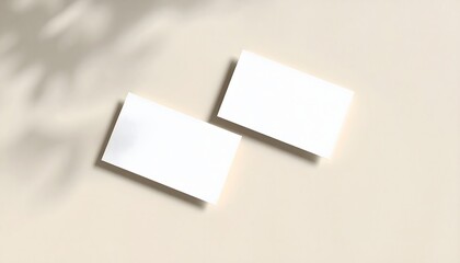 Two white business card layout with shadow