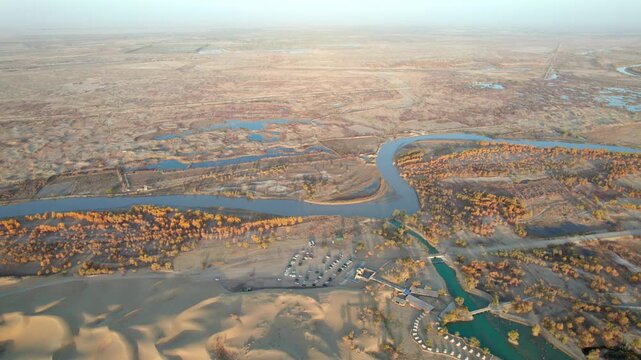 Drone view of lake and river in desert with Populus euphratica forest with yellow golden foliage on sunny autumn day in Xinjiang, China, aerial view of Tata Secret Realm in Yuli, 4k real time footage.