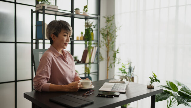 Senior business asian woman mature working in office