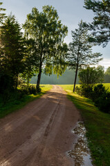 Peaceful countryside dirt road in summer morning light with trees and puddles. Dirt road through green countryside with morning sunlight, puddles and trees in peaceful rural landscape.