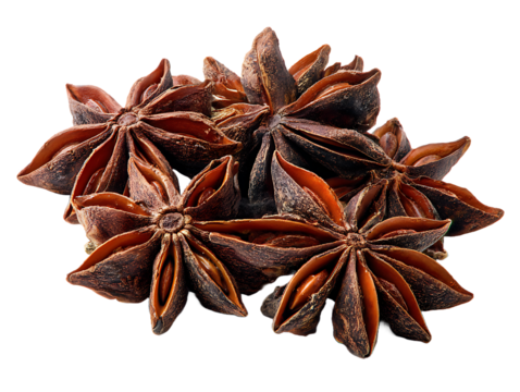 A cluster of star anise spice pods close up view showing texture and detail