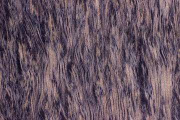 texture of old wood. aged board. gray, violet, a place for a text or object. artificial wooden...