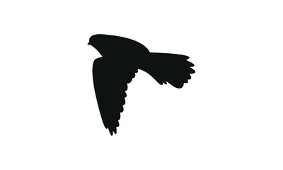 Flying American kestrel bird Silhouette Design  And Vector Illustration. 