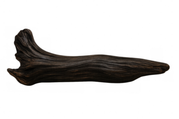 Weathered dark wooden log isolated on transparent background, perfect for nature-themed projects or compositions