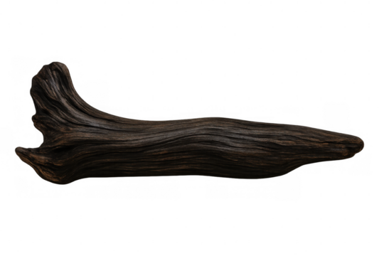 Weathered dark wooden log isolated on transparent background, perfect for nature-themed projects or compositions