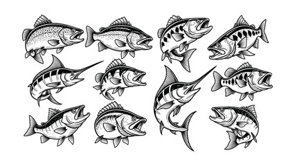 Fototapeta premium Vector Assortment Hand-Drawn Variety of Fish for Fishing Enthusiasts and Aquatic Designs