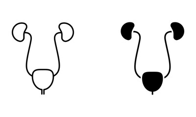 Kidneys with bladder, illustration of urinary system icon vector