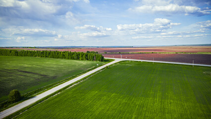 green fields and meadows of the countryside