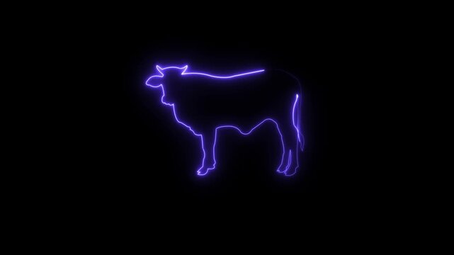 glowing ox Animal neon farm icon black background animation video