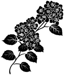 Decorative Corner Frame with hydrangea Flower Silhouette
